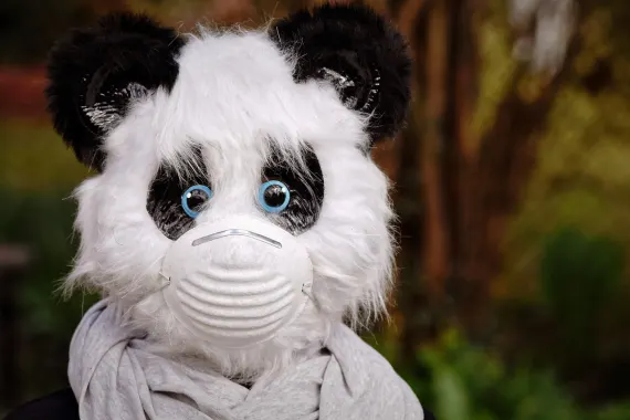 Kaszinó Cabaret Club Támogatás